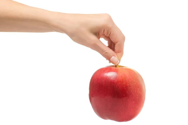 Manzana mano femenina — Foto de Stock