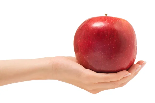 Manzana mano femenina — Foto de Stock
