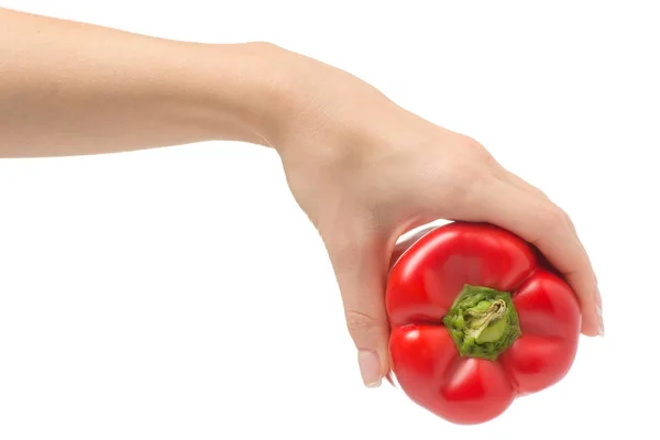 Vrouwelijke hand met rode paprika — Stockfoto