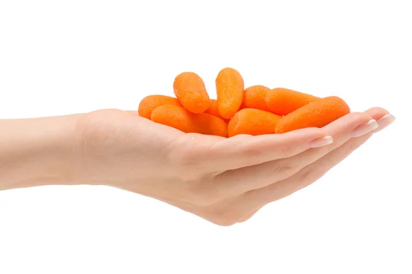 Pequeña mano femenina de zanahoria — Foto de Stock