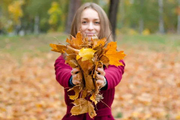 Mulher bonita em um casaco mantém folhas de outono — Fotografia de Stock