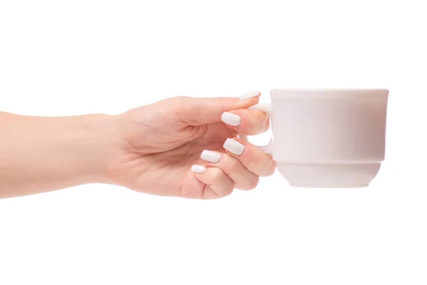 Cup in hands tea coffee — Stock Photo, Image