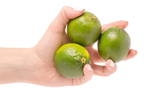 Limes in hand — Stockfoto
