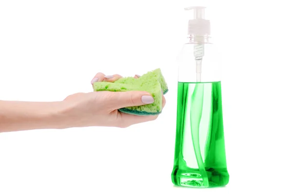 Mytí nádobí detergent houba v ženské ruce — Stock fotografie