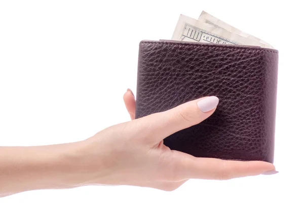 Δολάριο χρήματα στο χέρι τσάντα — Φωτογραφία Αρχείου
