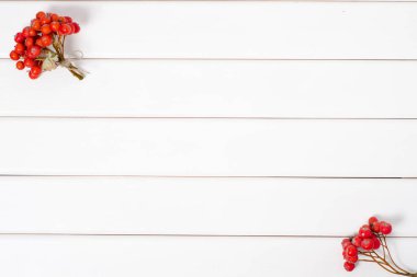 Kırmızı meyveler rowanberry kartopu