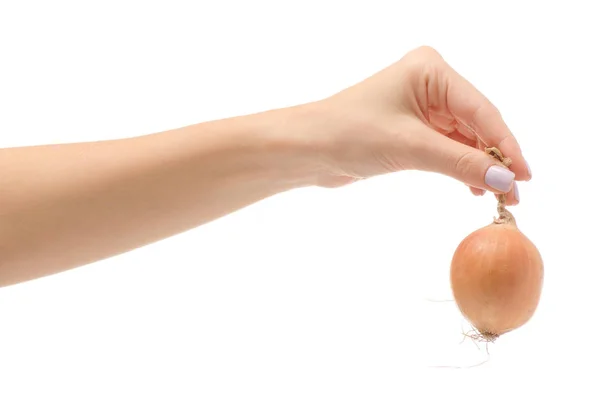 Kobiece ręki trzymającej cebuli na białym tle — Zdjęcie stockowe