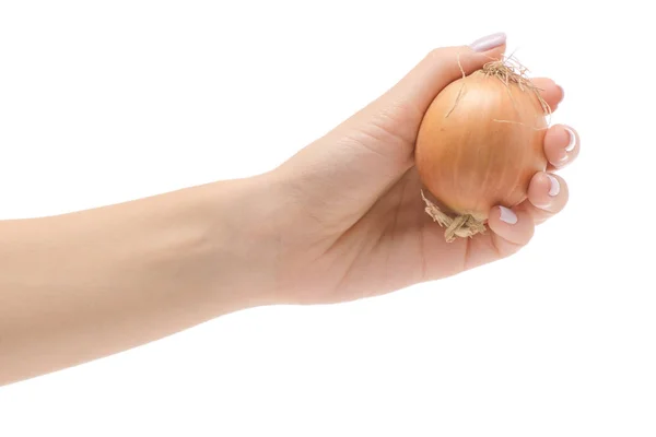 Mano femminile che tiene isolata una cipolla — Foto Stock