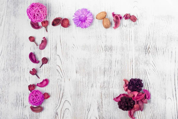 Hermosa rosa rosa violeta flores —  Fotos de Stock