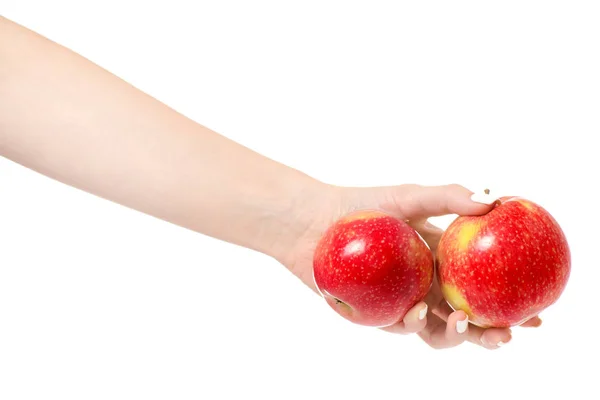 Женская рука два красных яблока — стоковое фото