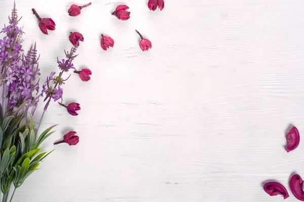 Flores pétalos lila —  Fotos de Stock