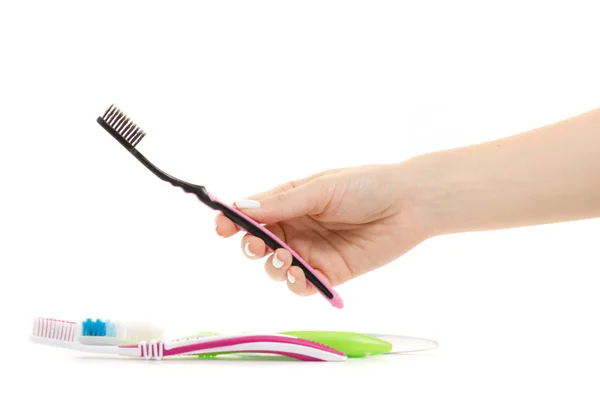 Female hands with toothbrushes for the whole family — Stock Photo, Image