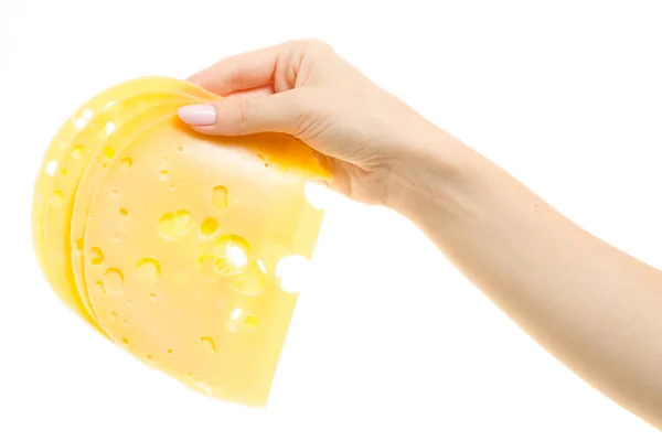 Slice of cheese with holes in female hands — Stock Photo, Image
