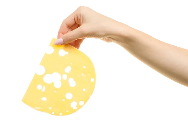 Fetta di formaggio con buchi in mani femminili — Foto Stock