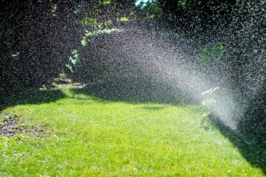 Su sıçramalarına bahçe çiçekleri sulamayı