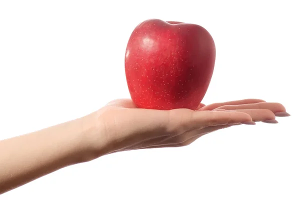 Красное яблоко в руках изолированы — стоковое фото