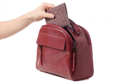 El bir pasaport bir çantaya koy.