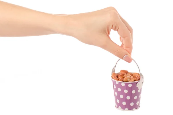 Amendoins em um balde na mão — Fotografia de Stock