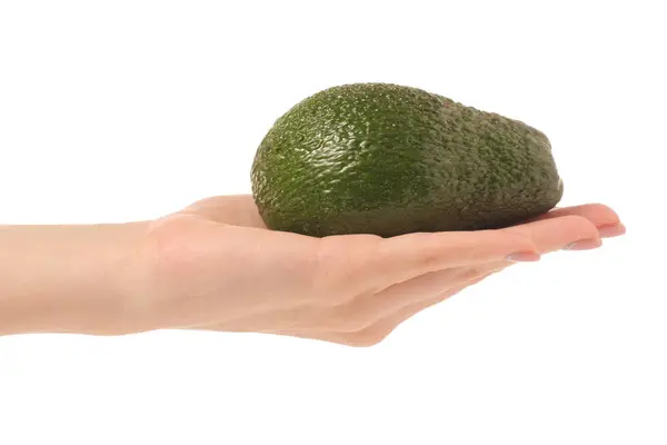 Avocado in mano — Foto Stock