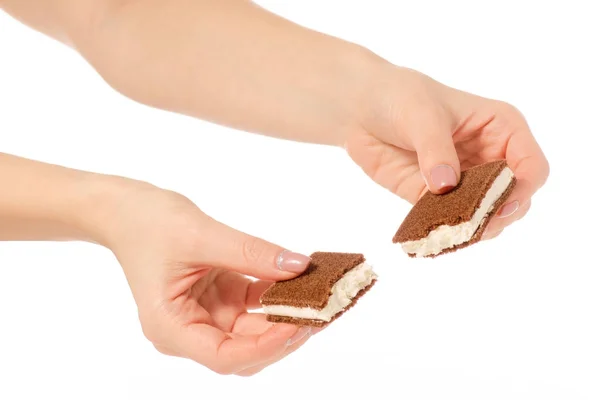 Bolo de chocolate doce biscoito de leite na mão — Fotografia de Stock