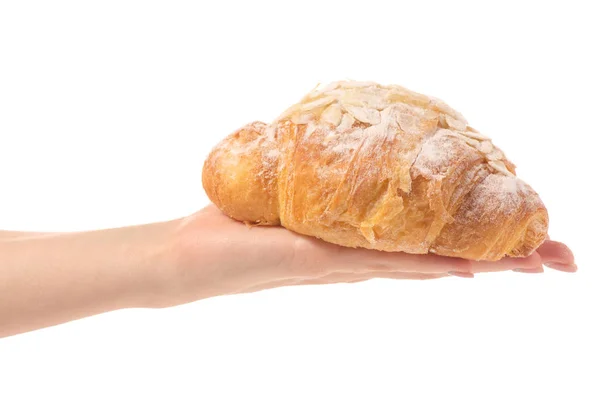 Mandulás croissant a kezében — Stock Fotó