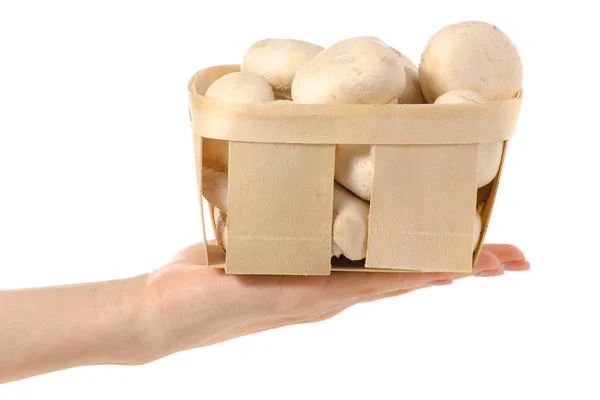 Basket of mushrooms in hand — Stock Photo, Image