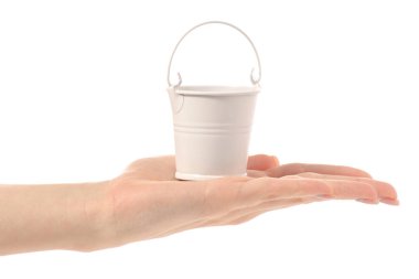 Küçük beyaz bucketin el