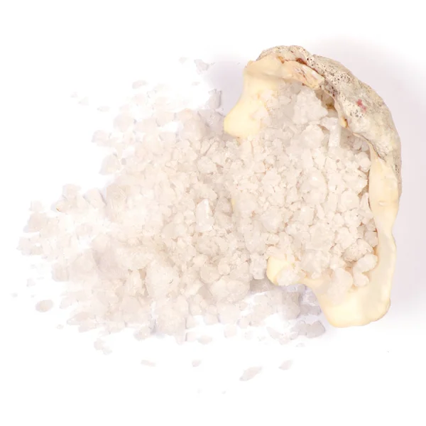 Pile de sel de mer coquillages pierres — Photo