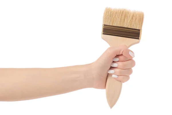 Brush for paint in hand — Stock Photo, Image