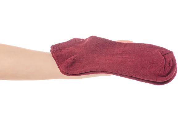 Chaussettes en coton dans les mains — Photo