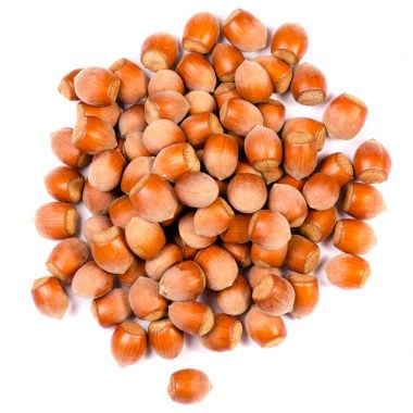 Fındık ela yalıtım