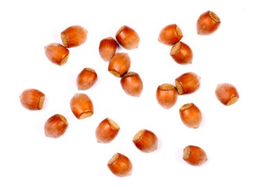 Fındık ela yalıtım