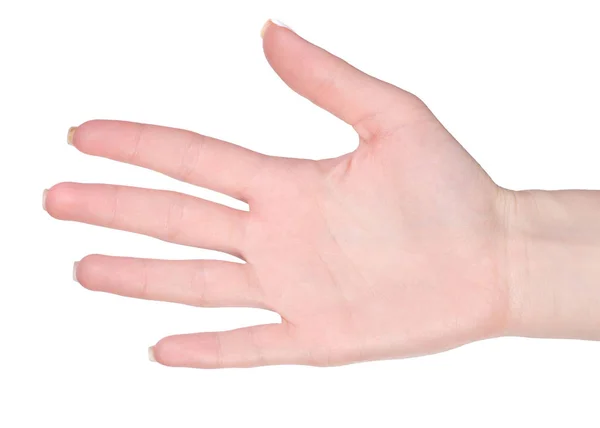 Hand palm isolation — Stock Photo, Image