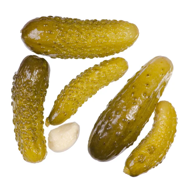 Salatalık tuzlu yalıtım