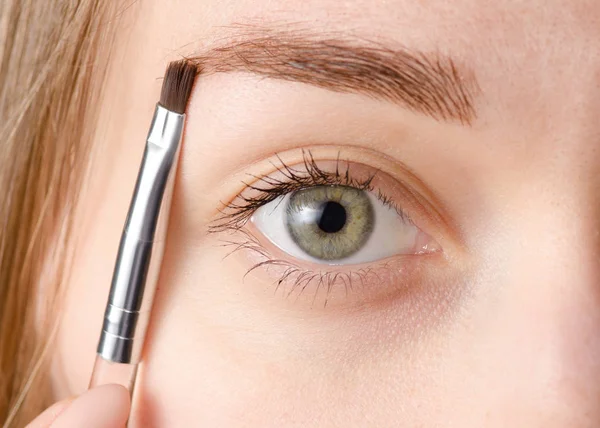 Female eye natural brush for painting eyebrow — Stock Photo, Image