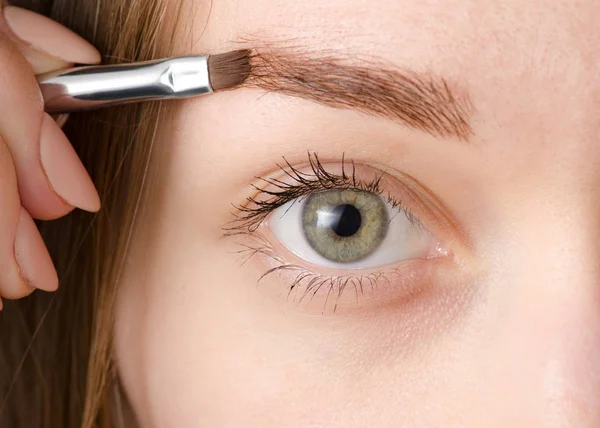 Brosse naturelle pour les yeux féminins pour peindre les sourcils — Photo