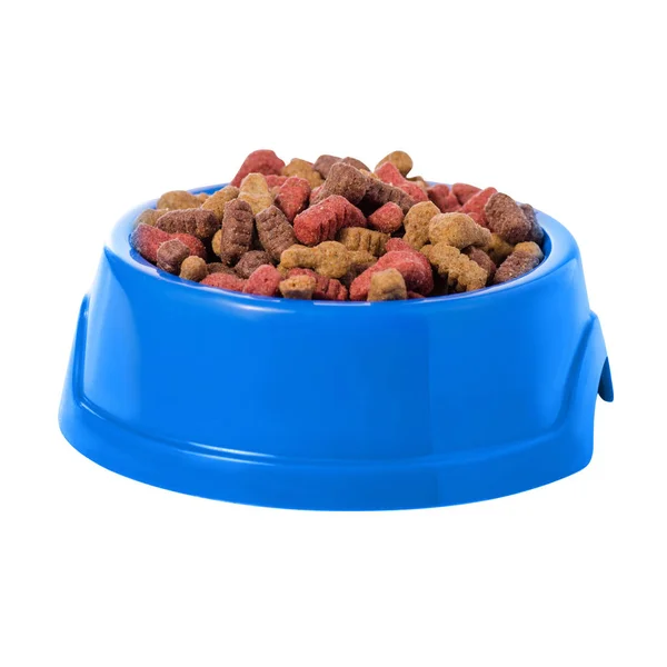 Τροφή για σκύλους και γάτες σε ένα μπολ με μπλε — Φωτογραφία Αρχείου