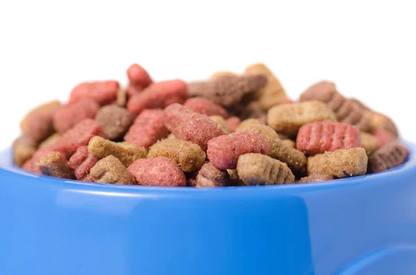 Food for dogs and cats in a blue bowl — Stock Photo, Image