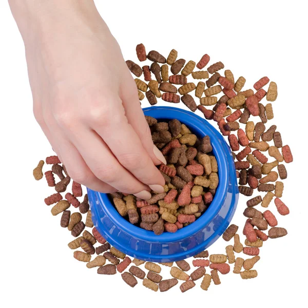 Comida seca em um boliche de cães e gatos em mãos — Fotografia de Stock