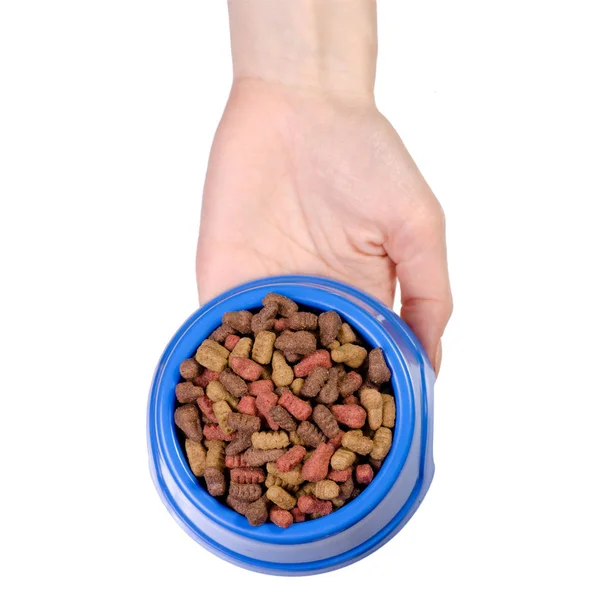 Dry food in a bowl for dogs and cats in hands — Stock Photo, Image