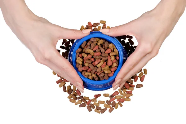 Comida seca em um boliche de cães e gatos em mãos — Fotografia de Stock
