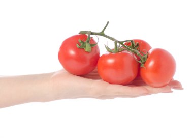 Şube elinde domates ile