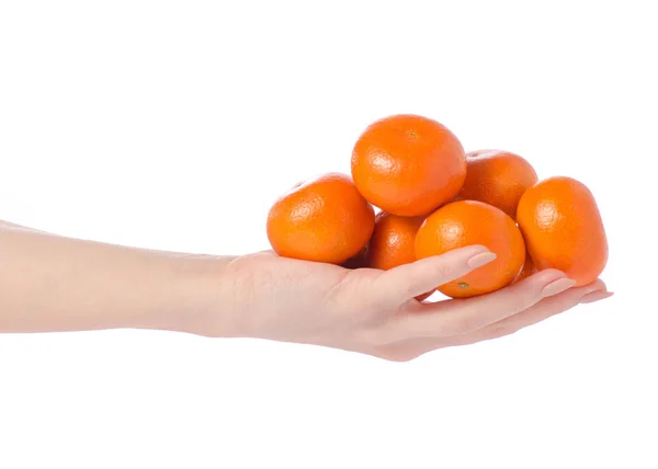 Mandarines in hands — Stock Photo, Image