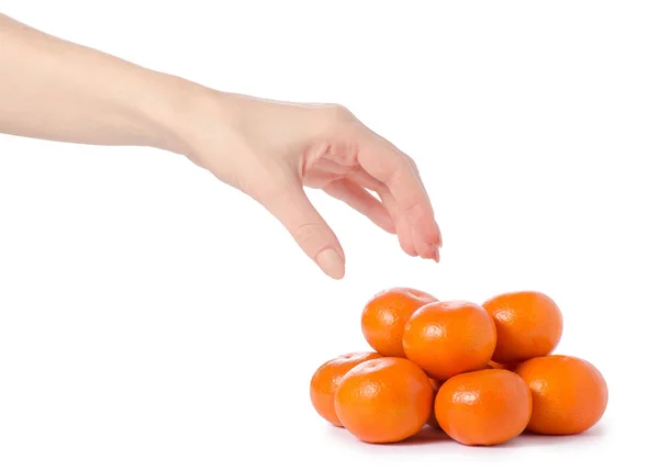 Mandarinas nas mãos — Fotografia de Stock