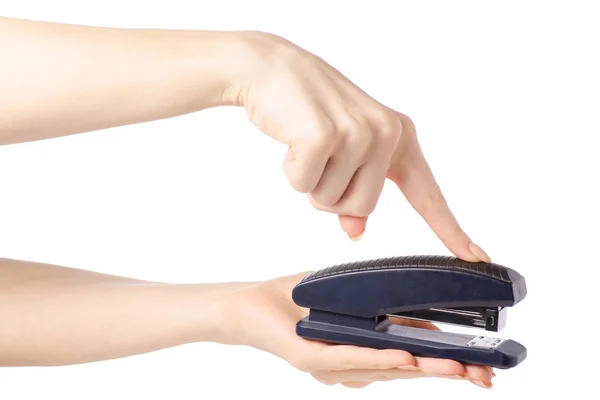 Stapler in hand Stock Image