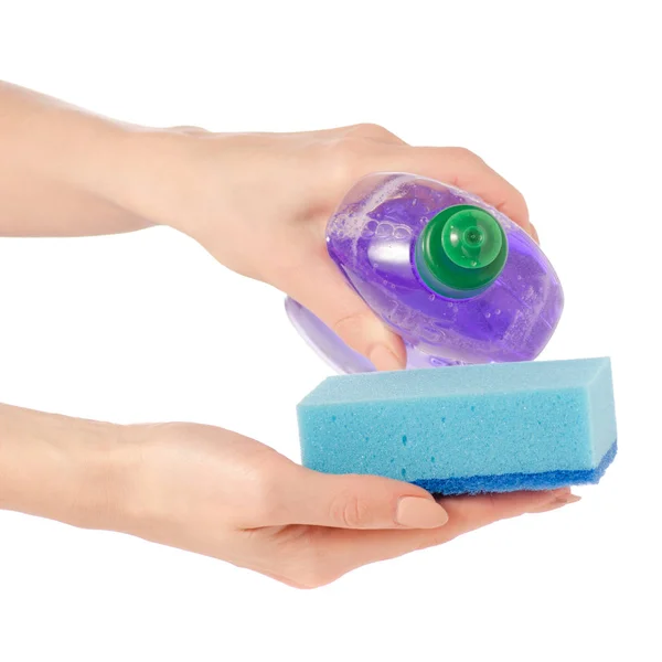 Detergente para utensilios de lavanda lila y esponja azul en mano —  Fotos de Stock