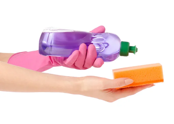 Kezében szivacs, a mosás ételek mosogatószer, tisztítószer üveg lila levendula — Stock Fotó