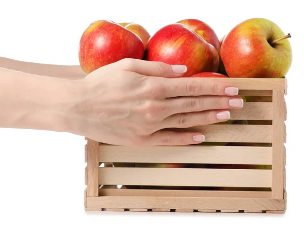 Коробка с яблоками в женской руке — стоковое фото