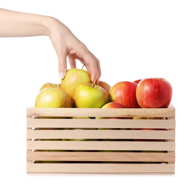 Коробка с яблоками в женской руке — стоковое фото