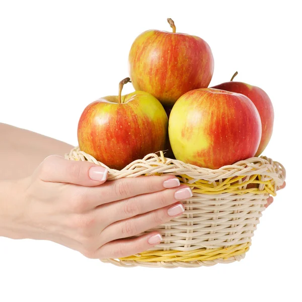 Корзина яблок женская рука — стоковое фото